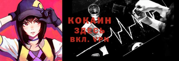 ПСИЛОЦИБИНОВЫЕ ГРИБЫ Новозыбков