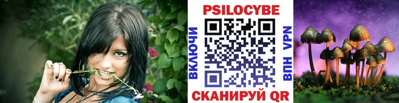 shop Telegram KRAKEN ONION Аркадак Псилоцибиновые грибы GOLDEN TEACHER