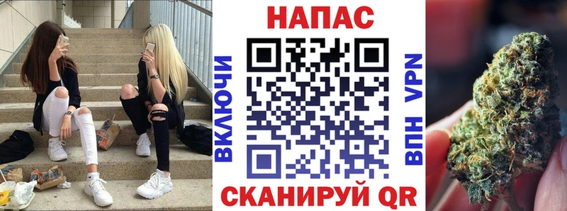Каннабис SATIVA & INDICA  Аркадак 